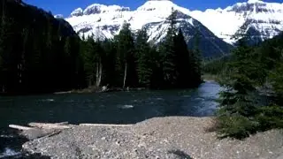 Glacier National Park losing its signature glaciers