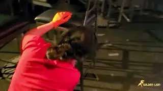 Deep Cleaning a Toronto Icon | Phoenix Concert Theater Before & After