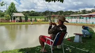 Pescarias de barranco tradicionais  est&aacute; ao vivo!