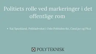 Politiets rolle ved politiske markeringer i det offentlige rom