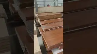 Tesia-WPC Door - Factory Workshop Video