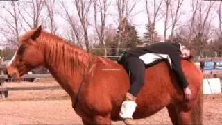 Training Horses Naturally.mpg