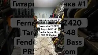 Гитарная солянка #1 Fernandes FGZ420, Target MGT-48, Fender Jaguar Bass, PRS SE Custom