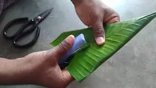 வாழை இலை மடிப்பு/ Banana leaf folding