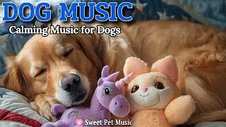 20 Hours of Calming Dog Music🦮💖Gentle Music Deep Sleep Calm🎵🦮Ultimate Stress Buster, Dog TV