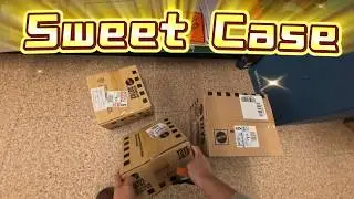 Hot Wheels Hunt + Unboxing = Pure Joy #hotwheels #风火轮 #matchbox#diecast #toys #car