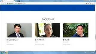 Обзор ICO Seele часть 1