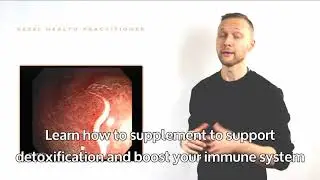 4-day Holistic Health Practitioner Training