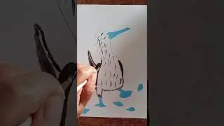 ✍🌄Tutoriales de dibujo a l&aacute;piz / Como dibujar un ave piquero de patas azules