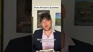 Prime Minister&rsquo;s Questions 🐱 #shortsfeed #funny #funnyvideos #comedy #shorts #PMQ #primeminister