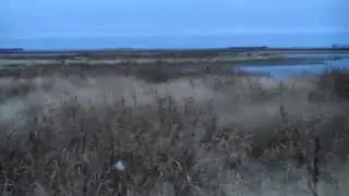 Windy Saskatchewan scene on October 30   :D
