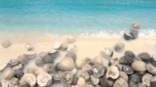 Mexican Jumping Beans Family Vacation - AmazingBeans.com