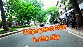 Episode 64: Weekend Ride in Phnom Penh 🇰🇭 | Real City Traffic Scenes,  4K HDR