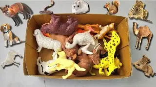 Realistic FARM Animal Toys 🐯🦏 | Must-See Jungle Safari Collection LION vs Cow! | izzu mania
