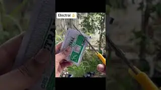 Please Takecare of your birds in Summer Season