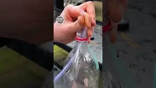 Now that's something! A life hack with a hose and a bottle!