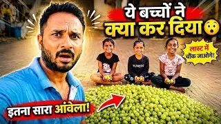 ​बच्चों ने इतना Amla इकट्ठा कर लिया 😲 | Amla Harvesting Vlog