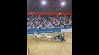 Agravis Cup Münster 2026 Vierspänner Pony Kl. S
