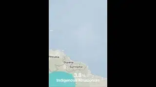 MyHeritage Dna test result - Bolivian