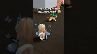 Вот теперь и кемперы подошли 😏 #а4 #roblox #вреки #рек #жиза #рофлы #мм2 #кемпер #кемперы #бригада