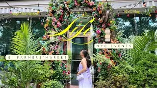 Free NYC Events + Slowing Down After a Busy Two Weeks | Finding Joy in the Little Things