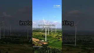 Wind tree#shortvideo