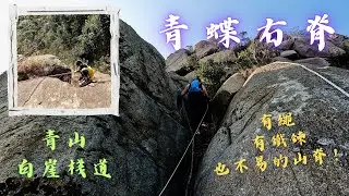 青蝶右脊｜一條有繩有鐵鍊也不易的山脊｜青山｜白崖棧道 #142