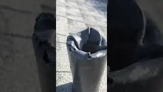 Squirrel Damaged Plumbing Vent Pipe Flashing