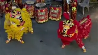 Lion dance for Da Nang City Neighborhood part 2 
