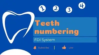 tooth numbering system / FDI system / how to number the teeth!