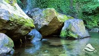 Flowing Water Sounds for Focus & Memory &ndash; Deep ASMR Nature Ambience for Study & Work