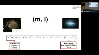 Black Holes and Dark Matter