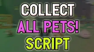 Collect all pets! script &ndash; (AutoQuest, AutoCoins & more)