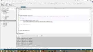 Snapi Tutorial - Using Scripts