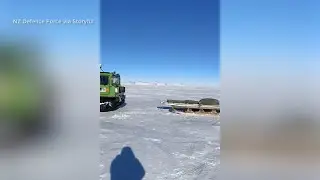 Penguins interrupt New Zealand Air Force training