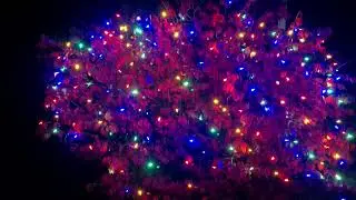 Review of Gdithy 100 LED Christmas Net Lights Outdoor,8 Modes Net Mesh String Lights Waterproof