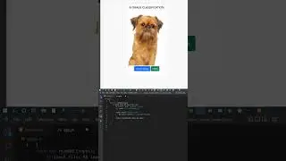 AI Image Classification Using ml5 JS SHORT