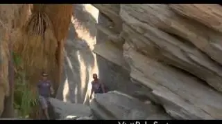 Visit Palm Springs