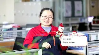 Merry Christmas from LEADFLUID.COM peristaltic pump,gear pump,syringe pump,ODM/ODM pump manufactuer.
