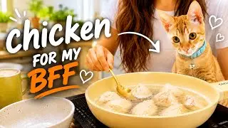 Готовлю курицу для своего рыжего кота 😸 (и для бездомных животных в нашем районе) 🇮🇩