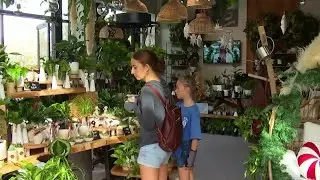 Central Florida shops ready for Small Business Saturday