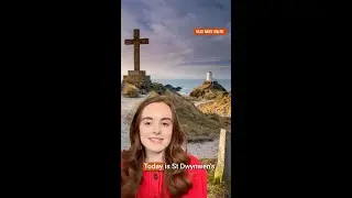 The history of St Dwynwen's Day