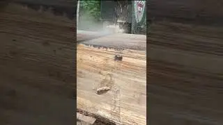 Expect the Unexpected Mastering the Sawmill: Fundamentals on Beam Milling Perfect Timbers
