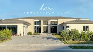 LANDSCAPE MAKEOVER PART 1! Are there Olive Trees in Florida? Home Renovation Vlog