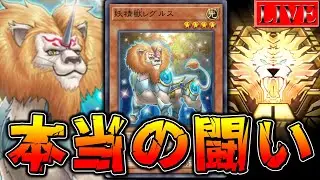 【マスター４～】いや　中年はやめない　何が　あっても【他力本願ランクマ#２２ 遊戯王マスターデュエル】