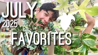 Favorite Houseplants for July 2025