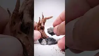 Hardscape Design for a Miniature Terrarium