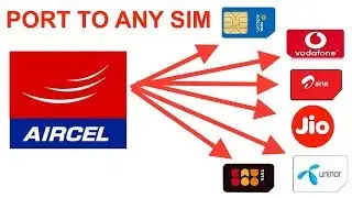 How to port aircel number to any other network easily | Aircel to other network port