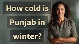 How cold is Punjab in winter?