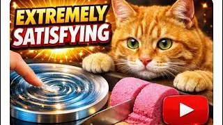 Warning ‼️: Extremely Satisfying Ginger Cat Video😱😱🧿🧿🧿 #ginger #cat #viral 